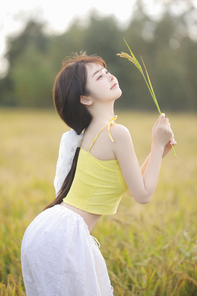 年会不能停
